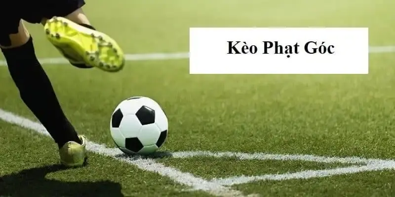 Kèo phạt góc được đánh giá cao hiện nay