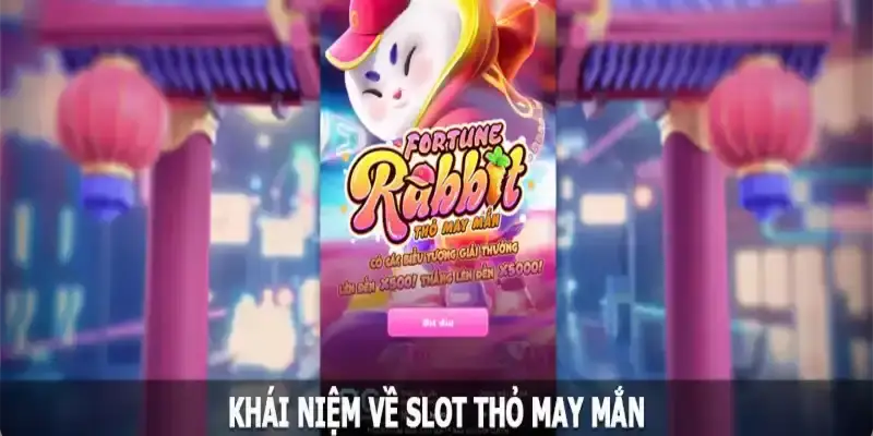 Thỏ may mắn mang đến nội dung hấp dẫn