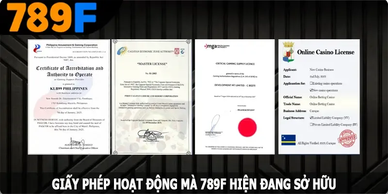 Các loại giấy phép hoạt động 789F